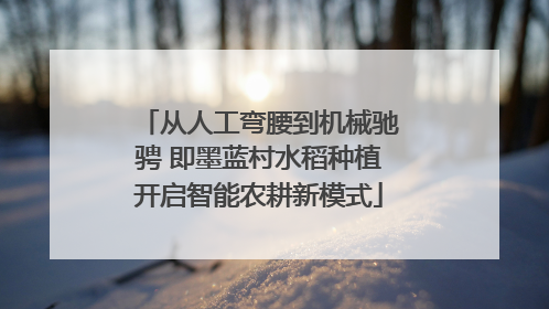 从人工弯腰到机械驰骋 即墨蓝村水稻种植开启智能农耕新模式