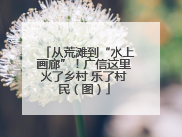 从荒滩到“水上画廊”！广信这里火了乡村 乐了村民（图）