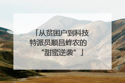 从贫困户到科技特派员顺昌蜂农的“甜蜜逆袭”