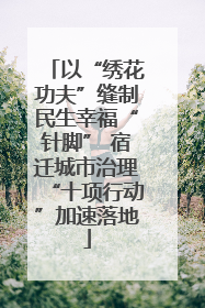 以“绣花功夫”缝制民生幸福“针脚” 宿迁城市治理“十项行动”加速落地