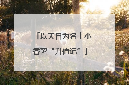 以天目为名丨小香薯“升值记”