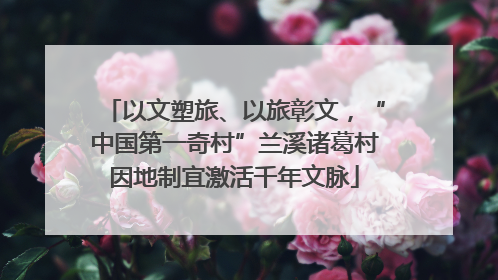 以文塑旅、以旅彰文，“中国第一奇村”兰溪诸葛村因地制宜激活千年文脉