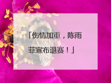 伤情加重，陈雨菲宣布退赛！