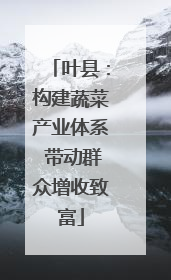 叶县：构建蔬菜产业体系 带动群众增收致富