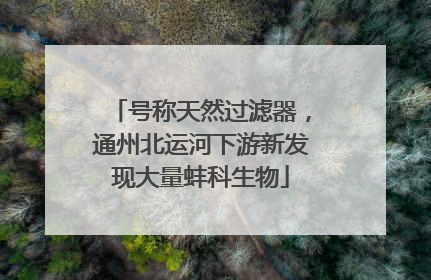 号称天然过滤器，通州北运河下游新发现大量蚌科生物