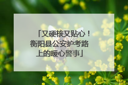 又硬核又贴心！衡阳县公安护考路上的暖心警事