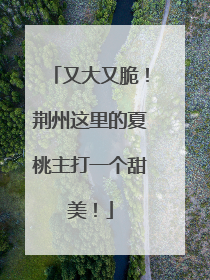 又大又脆！荆州这里的夏桃主打一个甜美！