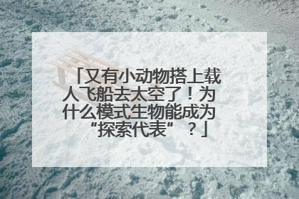 又有小动物搭上载人飞船去太空了！为什么模式生物能成为“探索代表”？