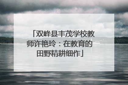 双峰县丰茂学校教师许艳玲：在教育的田野精耕细作