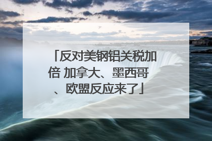 反对美钢铝关税加倍 加拿大、墨西哥、欧盟反应来了