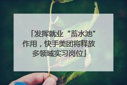发挥就业“蓄水池”作用，快手美团将释放多领域实习岗位