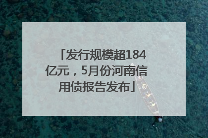 发行规模超184亿元，5月份河南信用债报告发布