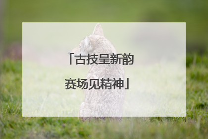 古技呈新韵 赛场见精神