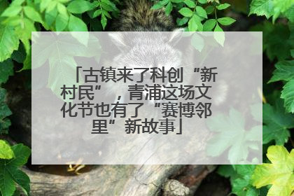 古镇来了科创“新村民”，青浦这场文化节也有了“赛博邻里”新故事