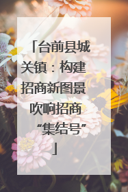 台前县城关镇：构建招商新图景 吹响招商“集结号”