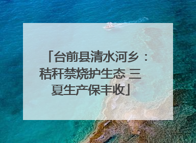台前县清水河乡：秸秆禁烧护生态 三夏生产保丰收