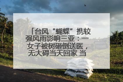 台风“蝴蝶”携较强风雨影响三亚：一女子被树砸倒送医，无大碍当天回家 当地已紧急清障