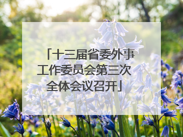 十三届省委外事工作委员会第三次全体会议召开