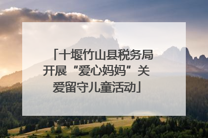 十堰竹山县税务局开展“爱心妈妈”关爱留守儿童活动