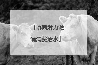 协同发力激涌消费活水