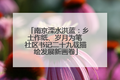 南京溧水洪蓝：乡土作纸、岁月为笔 社区书记二十九载描绘发展新画卷