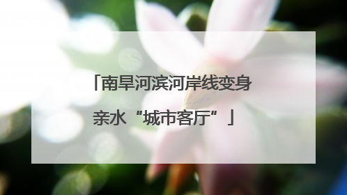 南旱河滨河岸线变身亲水“城市客厅”