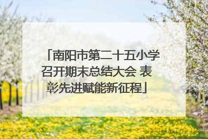南阳市第二十五小学召开期末总结大会 表彰先进赋能新征程