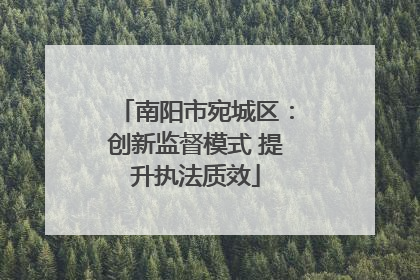 南阳市宛城区：创新监督模式 提升执法质效