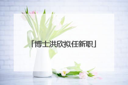 博士洪欣拟任新职