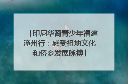 印尼华裔青少年福建漳州行：感受祖地文化和侨乡发展脉搏