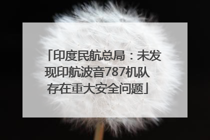 印度民航总局：未发现印航波音787机队存在重大安全问题