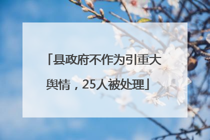 县政府不作为引重大舆情，25人被处理