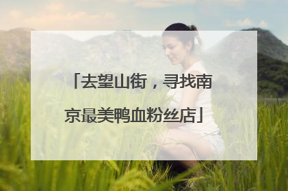 去望山街，寻找南京最美鸭血粉丝店