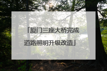 厦门三座大桥完成道路照明升级改造