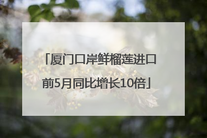 厦门口岸鲜榴莲进口 前5月同比增长10倍