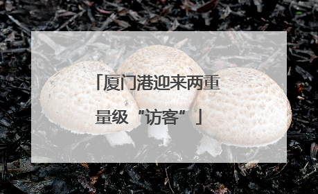 厦门港迎来两重量级“访客”