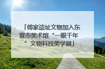 傅家遗址文物加入东营市美术馆“一眼千年”文物科技美学展