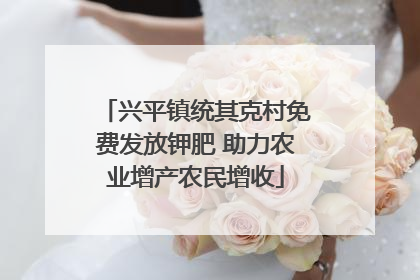 兴平镇统其克村免费发放钾肥 助力农业增产农民增收