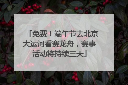 免费！端午节去北京大运河看赛龙舟，赛事活动将持续三天