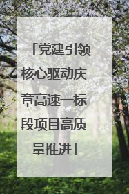 党建引领核心驱动庆章高速一标段项目高质量推进