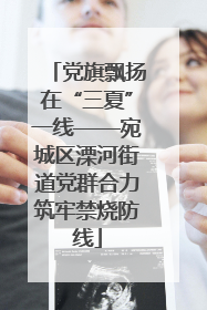 党旗飘扬在“三夏”一线——宛城区溧河街道党群合力筑牢禁烧防线