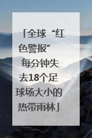 全球“红色警报”  每分钟失去18个足球场大小的热带雨林