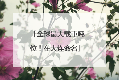 全球最大载重吨位！在大连命名