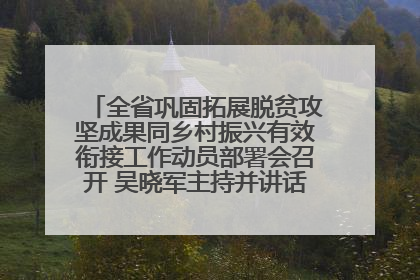 全省巩固拓展脱贫攻坚成果同乡村振兴有效衔接工作动员部署会召开 吴晓军主持并讲话 罗东川作安排部署