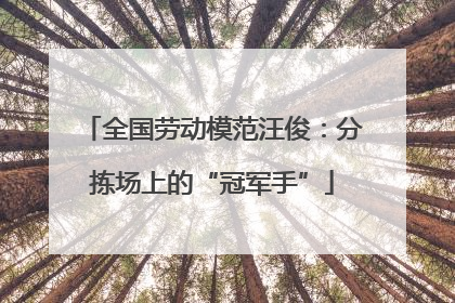 全国劳动模范汪俊：分拣场上的“冠军手”