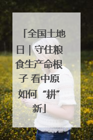 全国土地日｜守住粮食生产命根子 看中原如何“耕”新