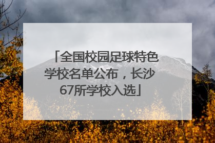 全国校园足球特色学校名单公布，长沙67所学校入选