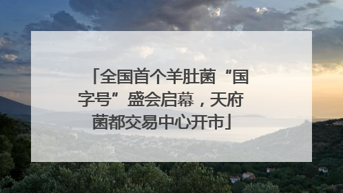 全国首个羊肚菌“国字号”盛会启幕，天府菌都交易中心开市