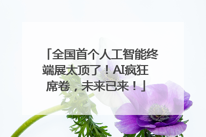 全国首个人工智能终端展太顶了！AI疯狂席卷，未来已来！