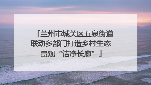 兰州市城关区五泉街道联动多部门打造乡村生态景观“洁净长廊”